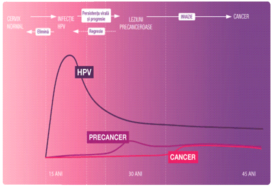 hpv2